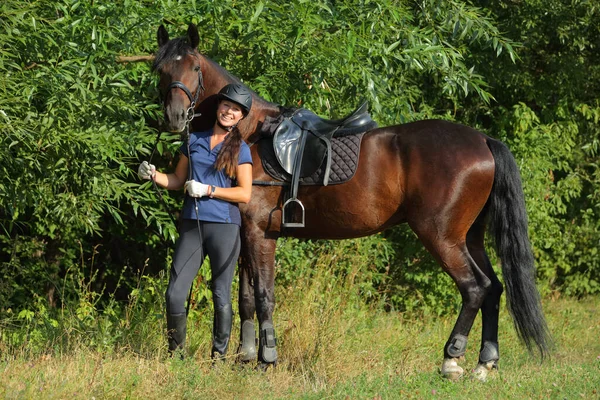 Žena Koni Sportovní Drezurní Kůň Cestě Večerních Hodinách — Stock fotografie