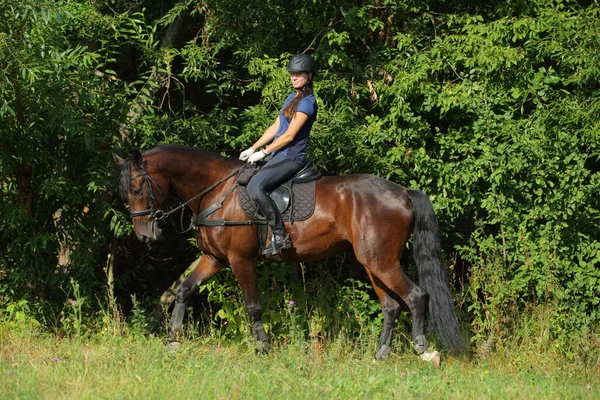 Vrouw Paardrijden Sportieve Dressuur Paard Het Pad Avond — Stockfoto