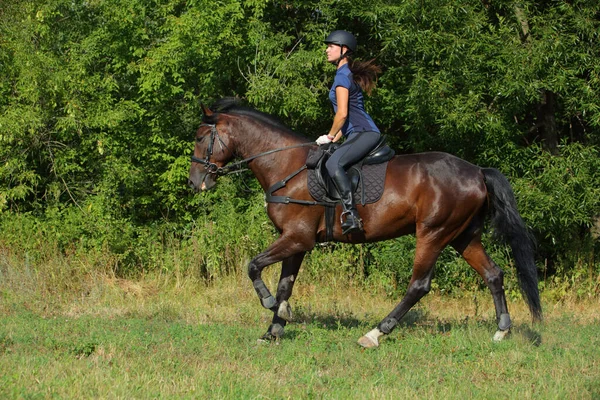 Kobieta Jazda Sportowa Ujeżdżenie Konia Dół Ścieżki Wieczorem — Zdjęcie stockowe