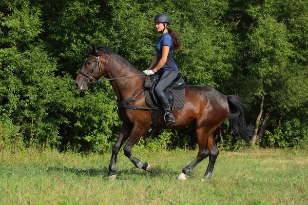 Kobieta Jazda Sportowa Ujeżdżenie Konia Dół Ścieżki Wieczorem — Zdjęcie stockowe