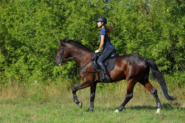 夏の森の中で馬場馬術の馬に乗って馬術少女 — ストック写真