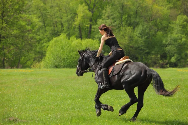 夏の牧草地で美しい女の子乗馬馬 — ストック写真