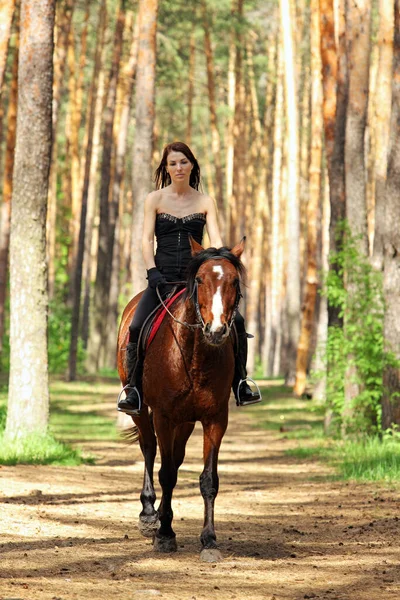 Красивая Девушка Верхом Лошади Летнем Лесу — стоковое фото