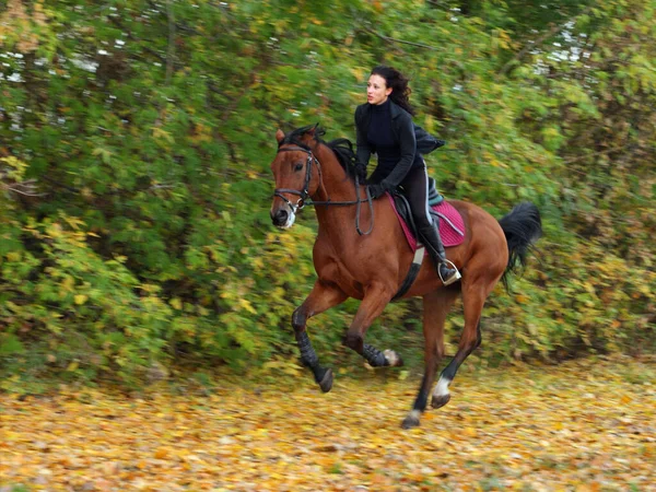 秋の夕方に森の道を馬に乗って乗馬の女の子 — ストック写真