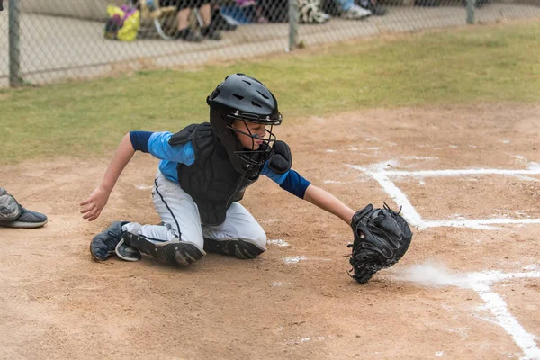 Skilled little league baseball catcher scooping a low pitch out of the dirt as it kicks up a cloud of chalk dust.