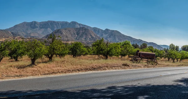 Topatopa tepe üst Ojai Vadisi meyve ağacı meyve görünür.