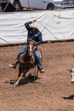 Ek yükü o onun amacı derisindeki boynuzları Ventura County Fuarı'nda 12 Ağustos 2018 Kaliforniya'da koyuyor kovboy kement döngü salıncaklar.