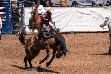 Kovboy braide için asmak ve bucking bronco, Ventura County Fair 12 Ağustos 2018 Kaliforniya'da sürme sırasında dengesini korur.