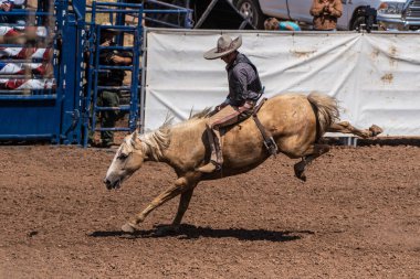 Charro kovboy bucking bronco, Ventura County Fair Kaliforniya'da 12 Ağustos 2018 üzerinde sürme sırasında Açılış bakiyesinin hazırlar.