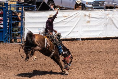 Kovboy keepings bucking bronco, Ventura County Fair 12 Ağustos 2018 Kaliforniya'da sürme sırasında hava elinde boş.