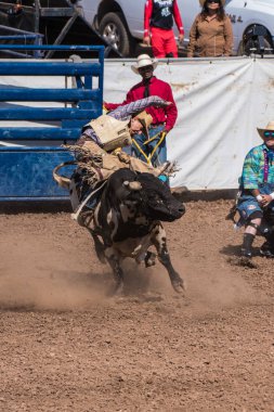 Kovboy ifade sırasında Ventura County Fair, Kaliforniya'da 12 Ağustos 2018 üzerinde sürme boğa üstünde kalmak kararlılığı gösterir.