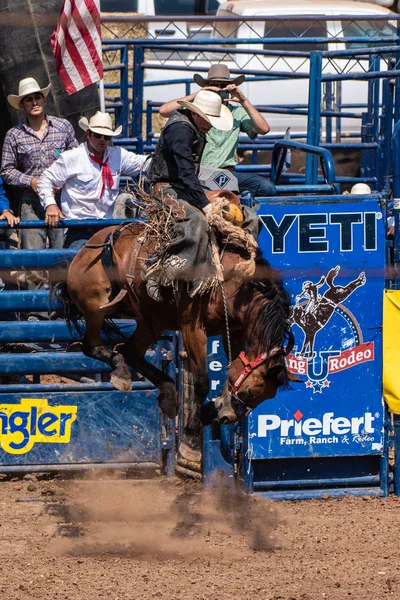 牛仔挂在马跳跃与所有四英尺的空气 而骑在文图拉县博览会上的压曲野马在2018年8月12日在加利福尼亚州 — 图库照片