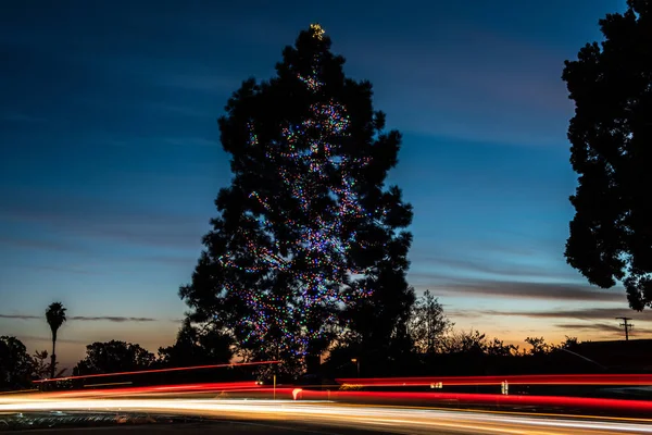 Árvore Gigante Decorada Com Luzes Durante Férias Temporada Natal Como — Fotografia de Stock