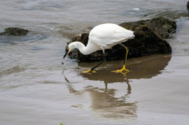 Batı sahilinde hayatta kalan bir gün daha.
