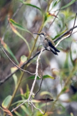 Parkurlarda doğa yürüyüşü birçok sürprizi vardır.