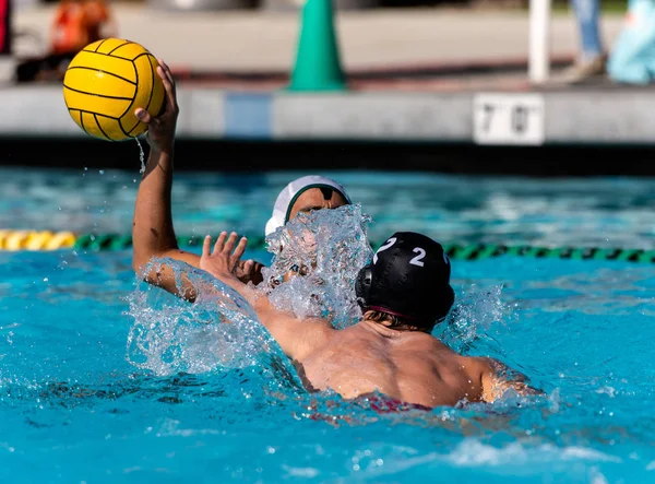 Intensity shows in the competing water athletes. — Stock Photo, Image