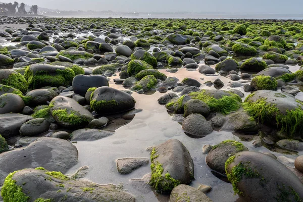 Havsvatten Fångat Grunda Tidvattenspooler Extremt Lågvatten Södra Kaliforniens Stränder — Stockfoto