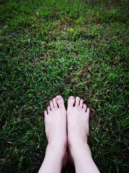 Жіночі Ноги Зеленій Траві Копіювати Простір Крупним Планом Ноги Фоні — стокове фото