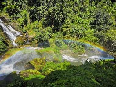 Güzel gökkuşağı Wachirathan - Chiang Mai (Tayland) düşüyor. Manzara. Yeşil orman arka plan ile görkemli şelale