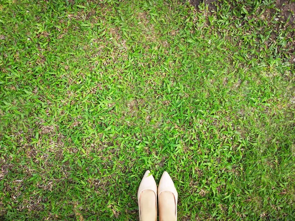 Close Up Pair of Feet Woman High Heels Shoes Isolated. Free Copy Space and Top View, Selfie of Feet Female Wearing Nude High Heels Shoes Standing on the Green Grass Nature from Above Background