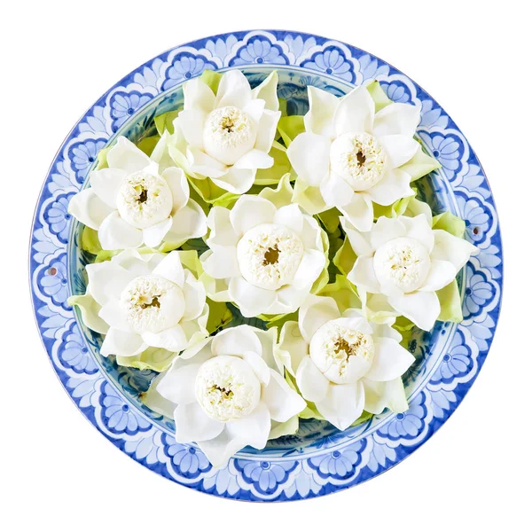 Lotus Virág Zöld Növények Pollen Izolált Fehér Háttér Felülnézet Közelről — Stock Fotó