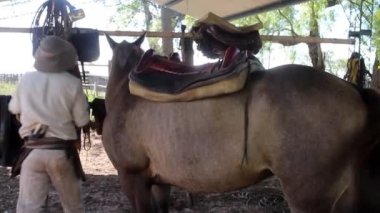 Gaucho de la provincia de Corrientes Arjantin, hazır ol su caballo para montar