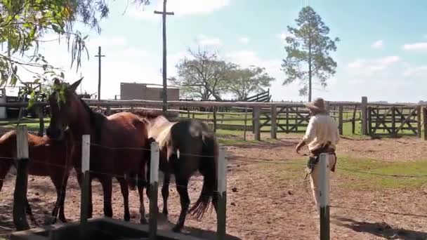 アルゼンチンのコリエンテス州のガウチョは馬に乗る準備をしていた — ストック動画
