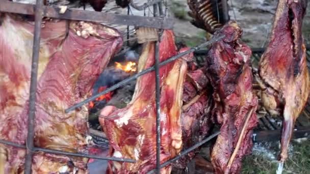 Carne Cordero Estacada Cocida Fuego — Vídeos de Stock
