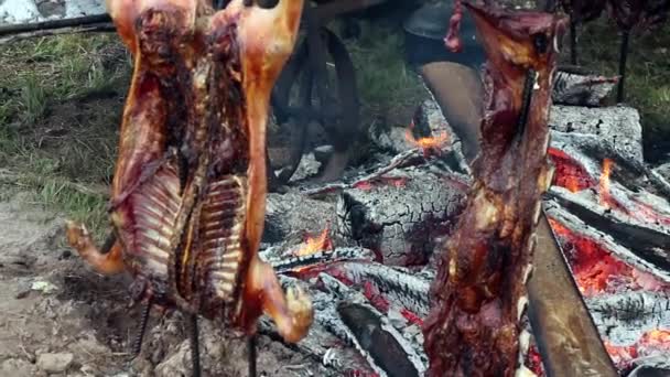 Carne Cordero Estacada Cocida Fuego — Vídeos de Stock