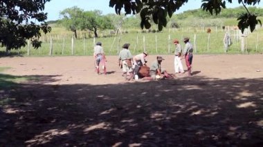 Escena de trabajo kırsal con rodeo de ganadera gaucha en Argentina