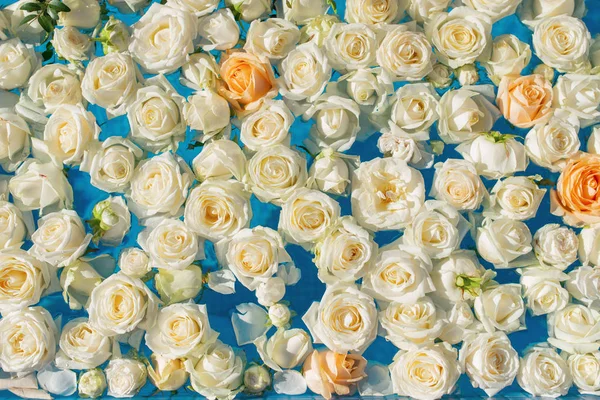 Pool Filled White Rose Flowers Wedding Decor — Stock Photo, Image