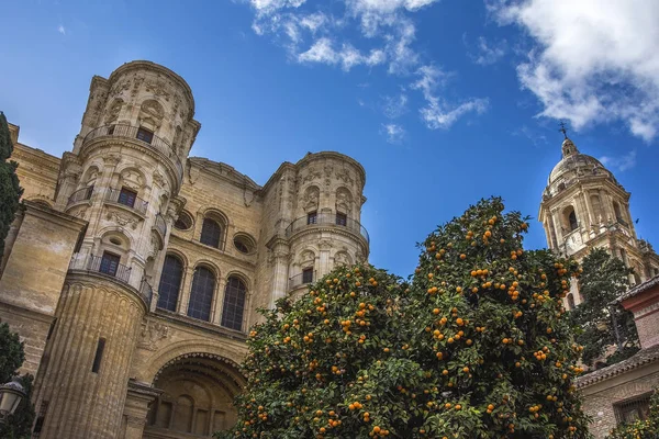 Malaga Katedrali Plaza del Obispo üzerinde. Malaga, Endülüs, İspanya
