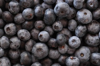 Sulu olgun yaban mersini yakından. Yabanmersini arka planı. Çilek bileşimi.