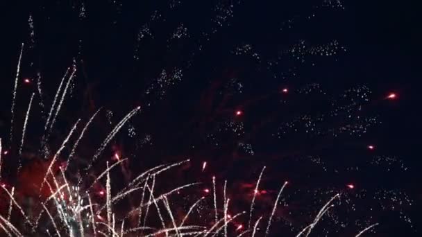 전경의 나무의 실루엣과 공원에서 화려한 불꽃놀이 — 비디오