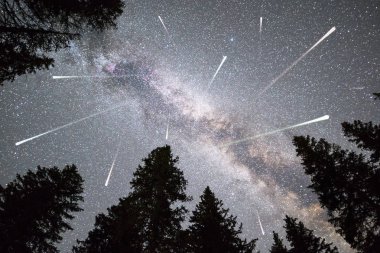 A view of a Meteor Shower and the Milky Way with a pine trees forest silhouette in the foreground. Night sky nature summer landscape. Perseid Meteor Shower observation. clipart