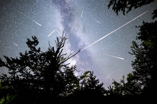 Una Vista Una Doccia Meteor Lattea Con Alberi Silhouette Foresta — Foto Stock