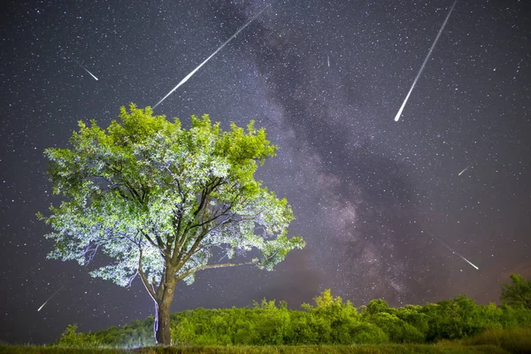 流星雨和银河系的一个视图 绿梅花树与李子高山区在前景 夜晚的天空自然夏日风景 英仙座流星雨观测 — 图库照片