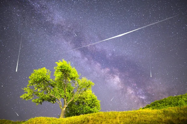 Widok Meteorów Mlecznej Zielony Śliwa Śliwkami Wysokiej Góry Pierwszym Planie — Zdjęcie stockowe