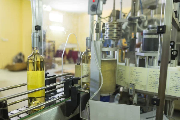 Garrafas Vinho Branco Rotuladas Uma Adega Antes Embaladas Enviadas Para — Fotografia de Stock