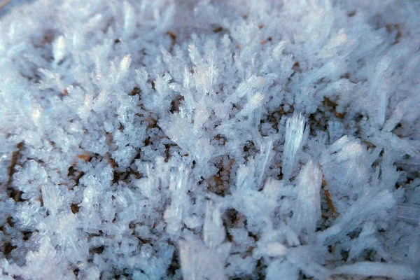 Frost Bedeckte Frühmorgens Herbstblätter Und Gras Winter Hintergrund Von Oben — Stockfoto