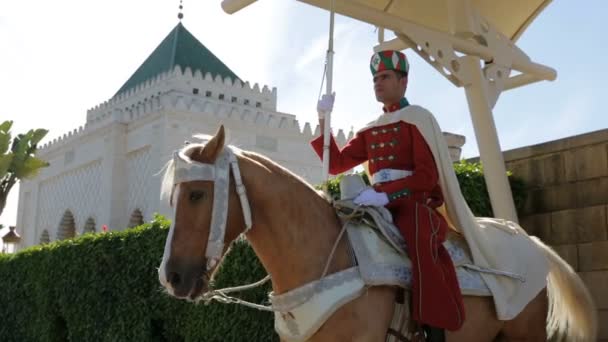 Rabat Marrocos Novembro 2018 Guarda Está Seu Cavalo Frente Mausoléu — Vídeo de Stock
