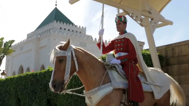 Rabat Marokko November 2018 Een Bewaker Staat Zijn Paard Tegenover — Stockvideo