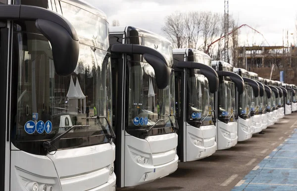 Nuevos autobuses modernos con GLP — Foto de Stock