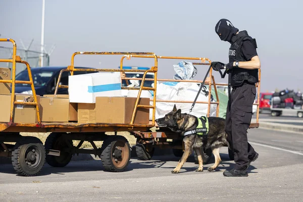 Сотрудник таможни и пограничной охраны и собака — стоковое фото