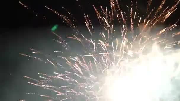 Farbenfrohes Feuerwerk Dunkelschwarzen Nachthimmel Zeitlupenaufnahmen Unabhängigkeitstag Juli Juli Weihnachtsfeuerwerk — Stockvideo