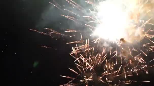 Coloridos Fuegos Artificiales Oscuro Cielo Negro Nocturno Imágenes Cámara Lenta — Vídeo de stock