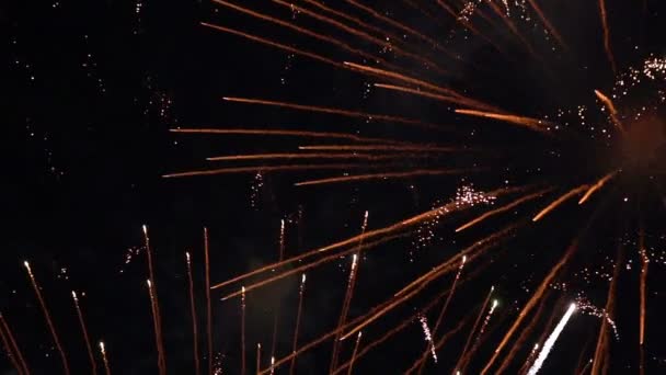 Πολύχρωμα Πυροτεχνήματα Στο Σκοτεινό Μαύρο Νυχτερινό Ουρανό Βίντεο Αργής Κίνησης — Αρχείο Βίντεο