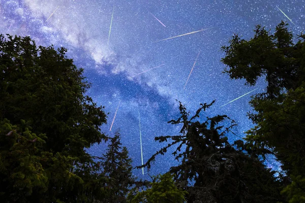 Blue Milky way falling stars pine trees silhouette — Stock Photo, Image
