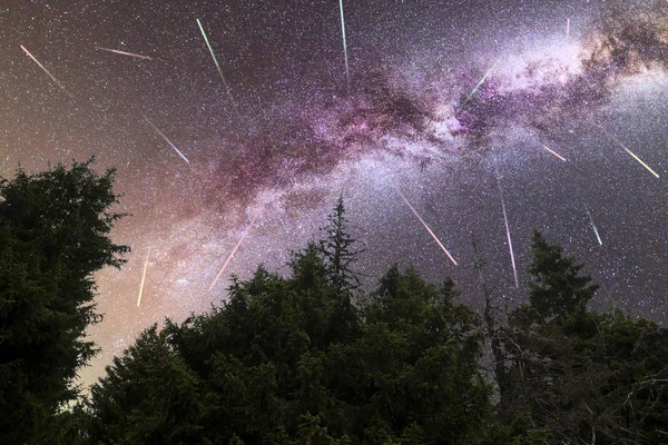 Paarse Melkweg vallende sterren Pine bomen silhouet — Stockfoto