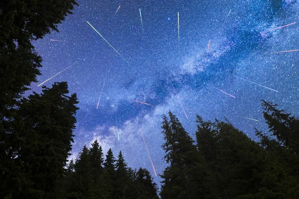 Blauwe Melkweg vallende sterren Pine bomen silhouet — Stockfoto